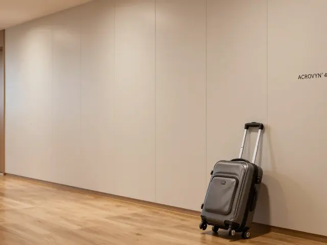 Wandschutz in stark beanspruchten Räumen: Flur, Kinderzimmer, Küche - die besten Lösungen 2025